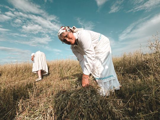 Gm. Leśniowice. Udane Żniwowanie na Maczułach. Tradycja, kultura, dobra zabawa [GALERIA ZDJĘĆ]