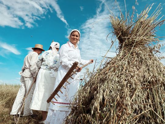 Gm. Leśniowice. Udane Żniwowanie na Maczułach. Tradycja, kultura, dobra zabawa [GALERIA ZDJĘĆ]
