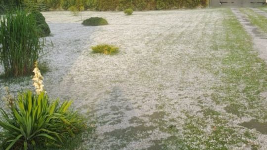 Gradobicie w gminie Żmudź. Rolnicy szacują straty [GALERIA ZDJĘĆ]