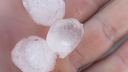 Gradobicie w gminie Żmudź. Rolnicy szacują straty [GALERIA ZDJĘĆ]