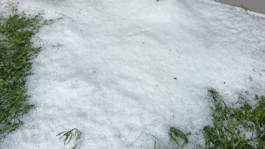 Gradobicie w gminie Żmudź. Rolnicy szacują straty [GALERIA ZDJĘĆ]