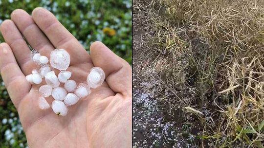Gradobicie w gminie Żmudź. Rolnicy szacują straty [GALERIA ZDJĘĆ]