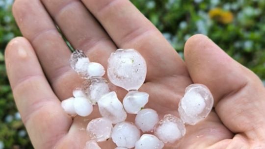 Gradobicie w gminie Żmudź. Rolnicy szacują straty [GALERIA ZDJĘĆ]