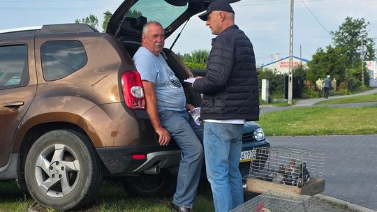 Gm. Chełm. Urządzili targ po swojemu. Rolnicy będą mieć swoje miejsce do handlowania [ZDJĘCIA]