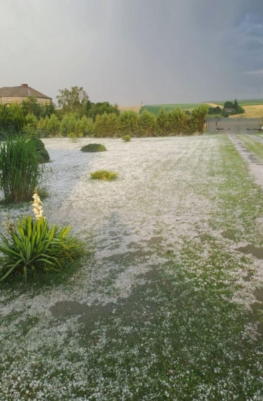 Gradobicie w gminie Żmudź. Rolnicy szacują straty [GALERIA ZDJĘĆ]