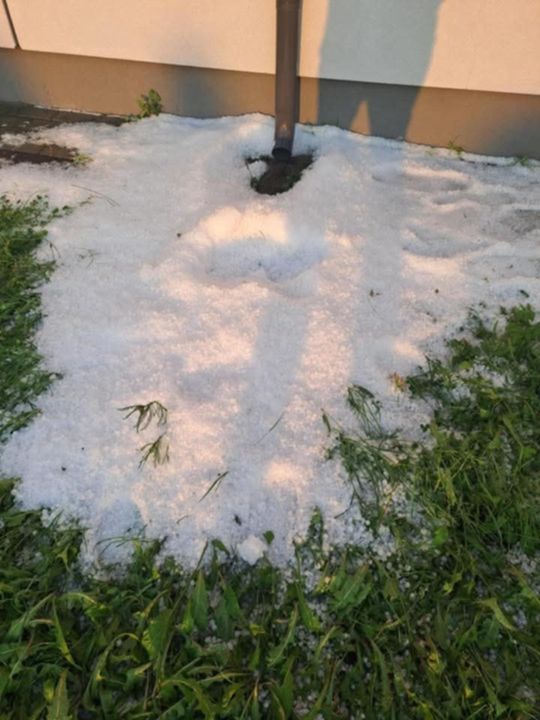Gradobicie w gminie Żmudź. Rolnicy szacują straty [GALERIA ZDJĘĆ]