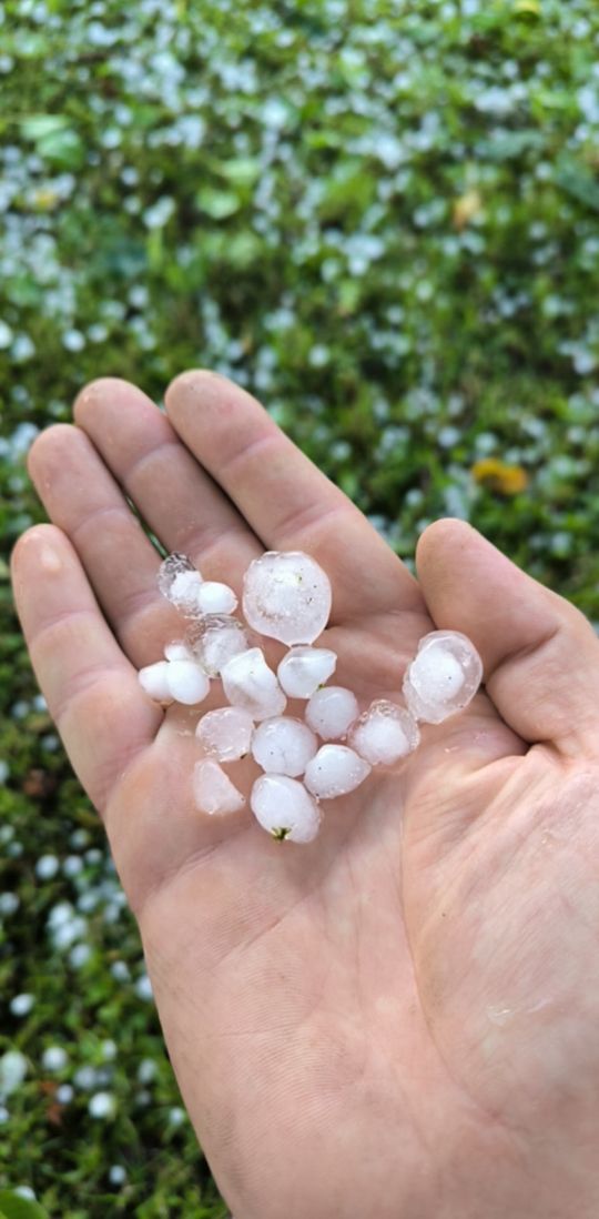 Gradobicie w gminie Żmudź. Rolnicy szacują straty [GALERIA ZDJĘĆ]