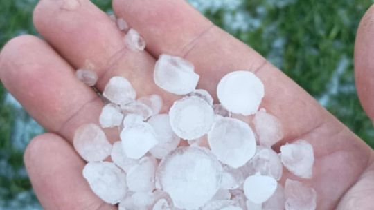 Nawałnica przeszła nad regionem. Grad zniszczył uprawy gospodarzy z gminy Leśniowice [ZDJĘCIA]