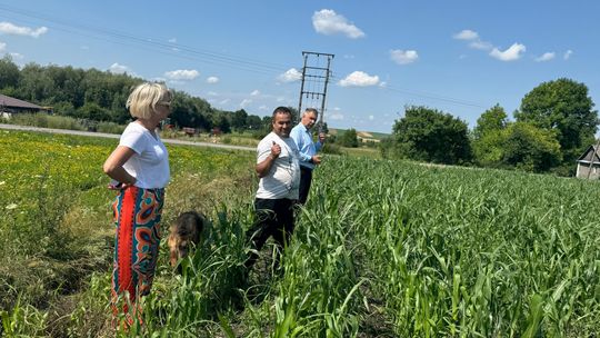 Nawałnica przeszła nad regionem. Grad zniszczył uprawy gospodarzy z gminy Leśniowice [ZDJĘCIA]