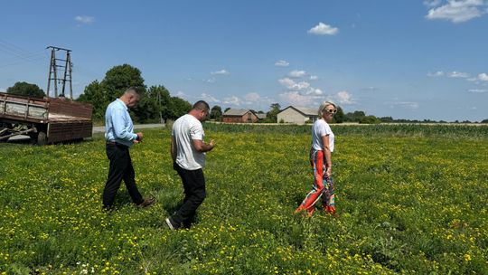 Nawałnica przeszła nad regionem. Grad zniszczył uprawy gospodarzy z gminy Leśniowice [ZDJĘCIA]