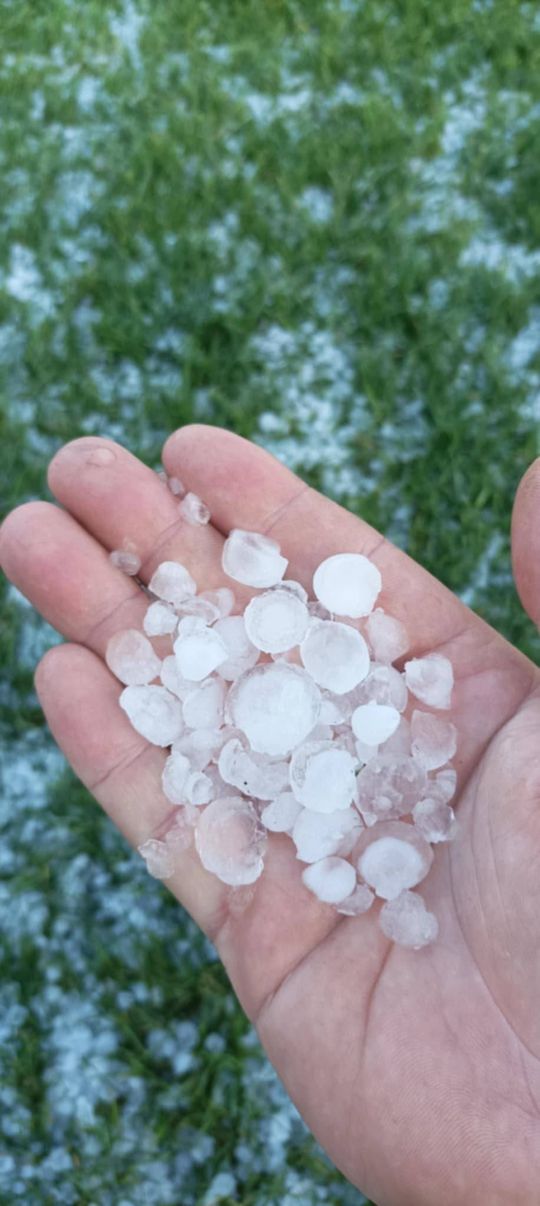 Nawałnica przeszła nad regionem. Grad zniszczył uprawy gospodarzy z gminy Leśniowice [ZDJĘCIA]