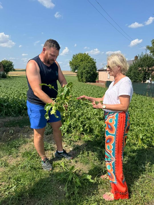 Nawałnica przeszła nad regionem. Grad zniszczył uprawy gospodarzy z gminy Leśniowice [ZDJĘCIA]