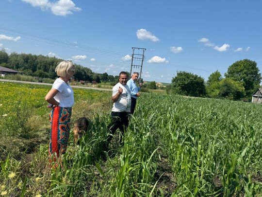 Nawałnica przeszła nad regionem. Grad zniszczył uprawy gospodarzy z gminy Leśniowice [ZDJĘCIA]