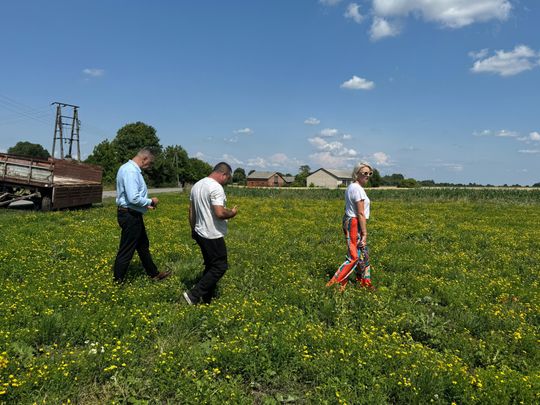 Nawałnica przeszła nad regionem. Grad zniszczył uprawy gospodarzy z gminy Leśniowice [ZDJĘCIA]