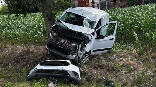Jedno auto dachowało, drugie uderzyło w drzewo. Pięć osób rannych, w tym 8-letnie dziecko [ZDJĘCIA]