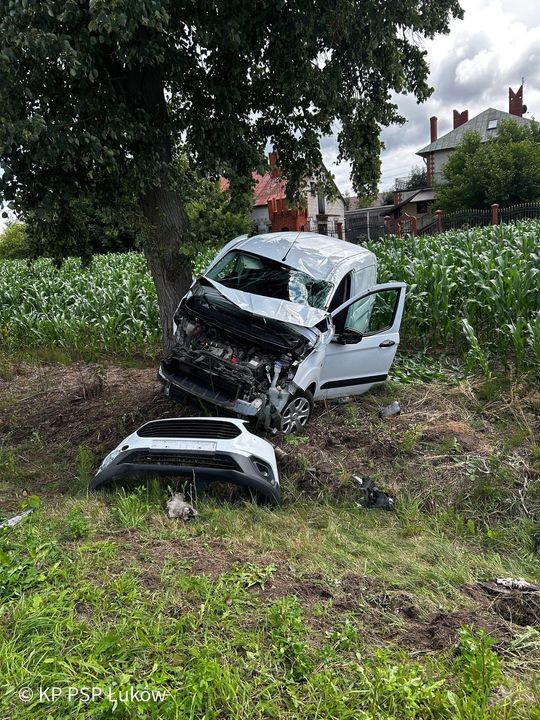 Jedno auto dachowało, drugie uderzyło w drzewo. Pięć osób rannych, w tym 8-letnie dziecko [ZDJĘCIA]