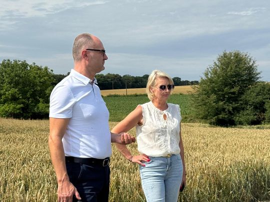 Gmina Lesniowice szacuje straty po gradobiciu. Wizja lokalna z udziałem przedstawicieli wojewody [ZDJĘCIA]