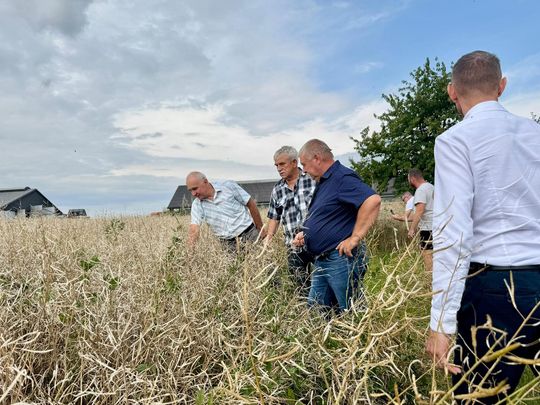Gmina Lesniowice szacuje straty po gradobiciu. Wizja lokalna z udziałem przedstawicieli wojewody [ZDJĘCIA]