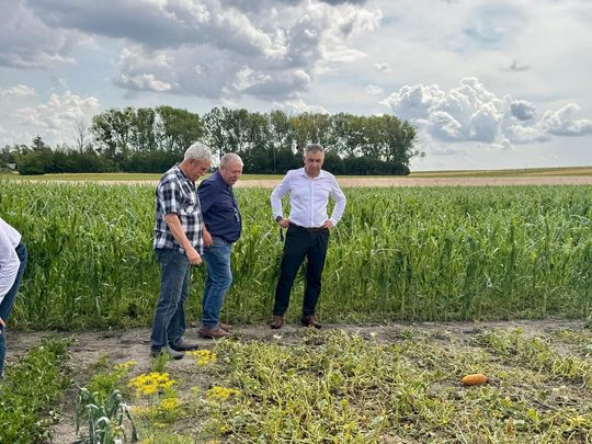 Gmina Lesniowice szacuje straty po gradobiciu. Wizja lokalna z udziałem przedstawicieli wojewody [ZDJĘCIA]