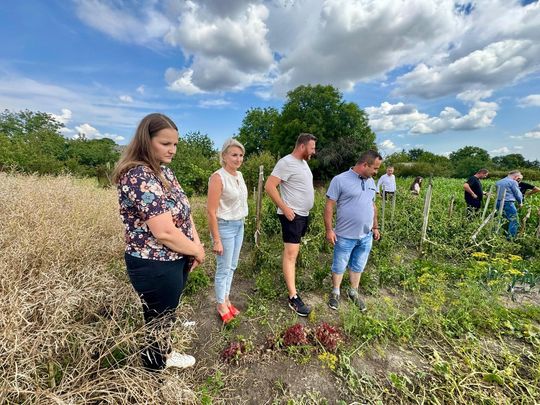 Gmina Lesniowice szacuje straty po gradobiciu. Wizja lokalna z udziałem przedstawicieli wojewody [ZDJĘCIA]