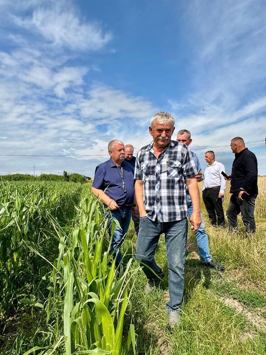Gmina Lesniowice szacuje straty po gradobiciu. Wizja lokalna z udziałem przedstawicieli wojewody [ZDJĘCIA]