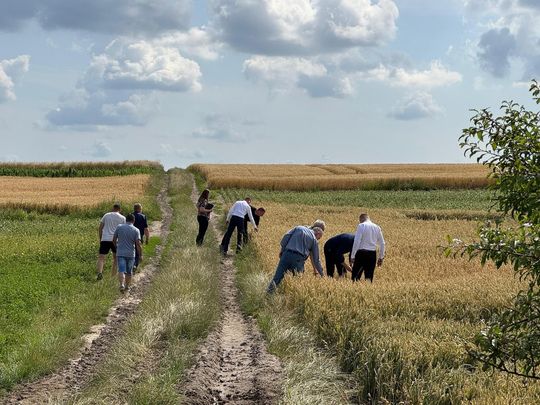 Gmina Lesniowice szacuje straty po gradobiciu. Wizja lokalna z udziałem przedstawicieli wojewody [ZDJĘCIA]