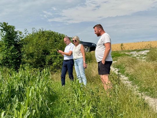 Gmina Lesniowice szacuje straty po gradobiciu. Wizja lokalna z udziałem przedstawicieli wojewody [ZDJĘCIA]