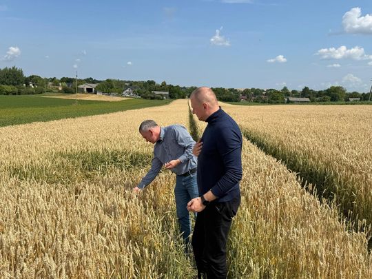 Gmina Lesniowice szacuje straty po gradobiciu. Wizja lokalna z udziałem przedstawicieli wojewody [ZDJĘCIA]