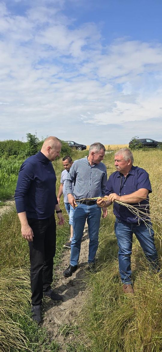 Gmina Lesniowice szacuje straty po gradobiciu. Wizja lokalna z udziałem przedstawicieli wojewody [ZDJĘCIA]