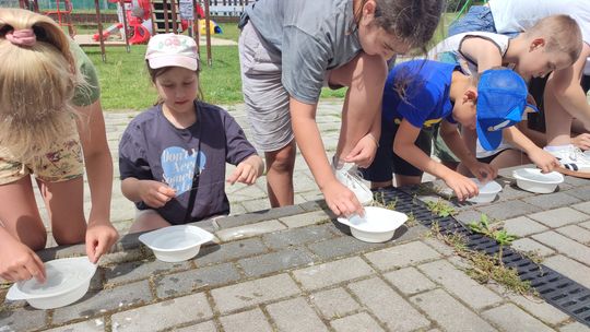 wakacje w gokis hanna