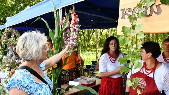 Święto czosnku w Płonce 2025