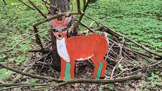 Gm. Wojsławice. Jak Teresa Szwarc z pomocnikami zaczarowała polanę w Majdanie Ostrowskim... [GALERIA ZDJĘĆ]