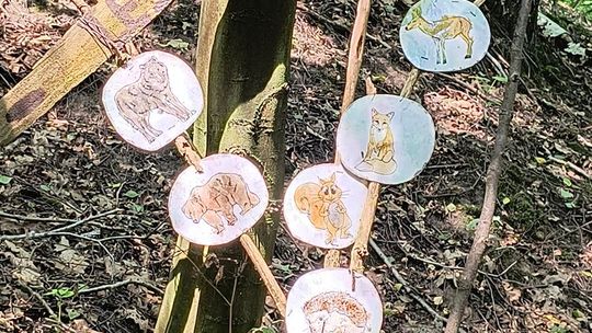 Gm. Wojsławice. Jak Teresa Szwarc z pomocnikami zaczarowała polanę w Majdanie Ostrowskim... [GALERIA ZDJĘĆ]