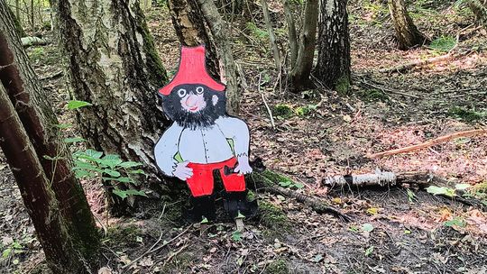 Gm. Wojsławice. Jak Teresa Szwarc z pomocnikami zaczarowała polanę w Majdanie Ostrowskim... [GALERIA ZDJĘĆ]