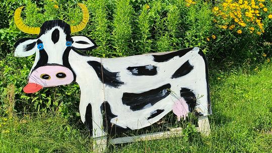 Gm. Wojsławice. Jak Teresa Szwarc z pomocnikami zaczarowała polanę w Majdanie Ostrowskim... [GALERIA ZDJĘĆ]