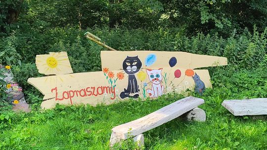 Gm. Wojsławice. Jak Teresa Szwarc z pomocnikami zaczarowała polanę w Majdanie Ostrowskim... [GALERIA ZDJĘĆ]