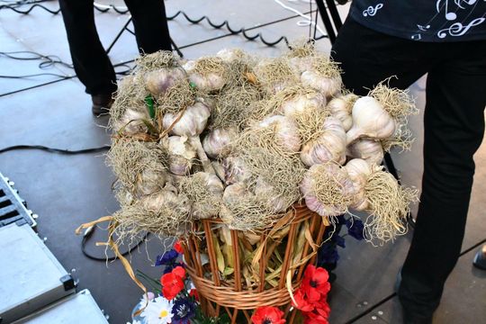 Święto Czosnku - Płonka 2025