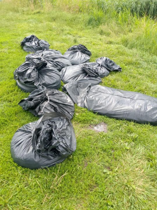 Co się dzieje w zbiorniku "Stańków" w gminie Chełm? Pół tony martwych ryb! Przyducha czy coś więcej? [ZDJĘCIA]