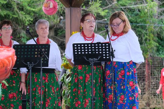 GM. Chełm. Tłumy mieszkańców na Dniach Okszowa Cz. I [GALERIA ZDJĘĆ]