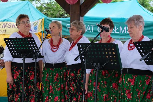 GM. Chełm. Tłumy mieszkańców na Dniach Okszowa Cz. I [GALERIA ZDJĘĆ]