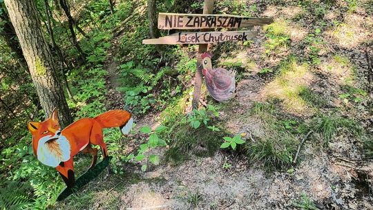 Gm. Wojsławice. Jak Teresa Szwarc z pomocnikami zaczarowała polanę w Majdanie Ostrowskim... [GALERIA ZDJĘĆ]