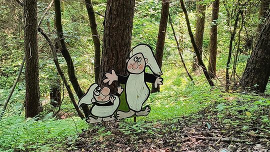 Gm. Wojsławice. Jak Teresa Szwarc z pomocnikami zaczarowała polanę w Majdanie Ostrowskim... [GALERIA ZDJĘĆ]