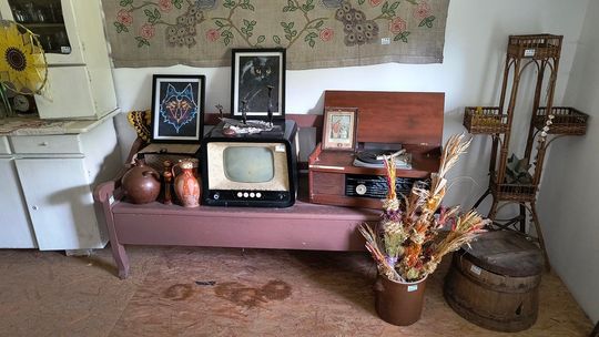 Gm. Wojsławice. Jak Teresa Szwarc z pomocnikami zaczarowała polanę w Majdanie Ostrowskim... [GALERIA ZDJĘĆ]