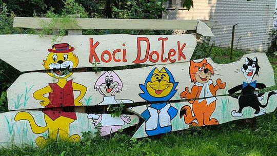 Gm. Wojsławice. Jak Teresa Szwarc z pomocnikami zaczarowała polanę w Majdanie Ostrowskim... [GALERIA ZDJĘĆ]