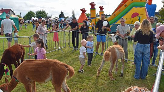Rekordowa frekwencja na Jarmarku Leśnym w Wyrykach