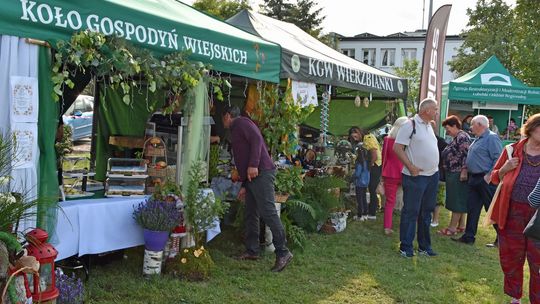 Rekordowa frekwencja na Jarmarku Leśnym w Wyrykach
