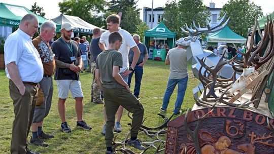 Rekordowa frekwencja na Jarmarku Leśnym w Wyrykach