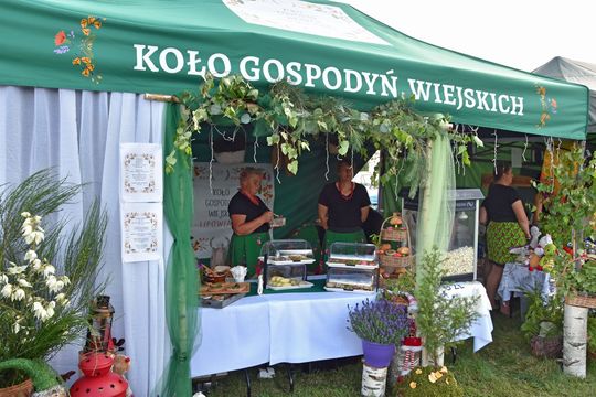 Jarmark Leśny w Wyrykach 2025