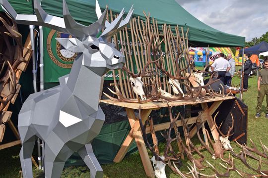 Jarmark Leśny w Wyrykach 2025