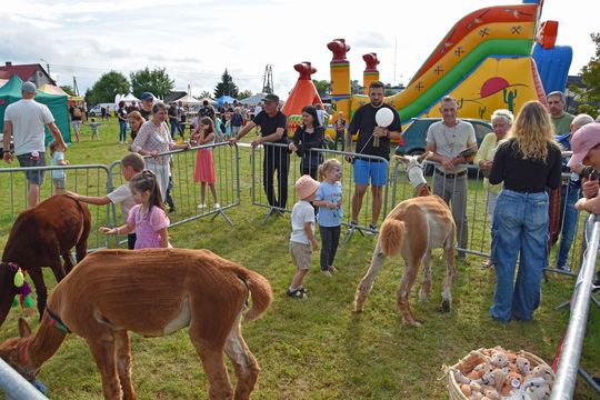 Jarmark Leśny w Wyrykach 2025